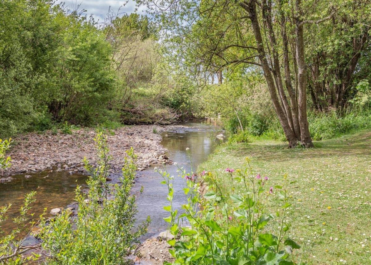 Seadown Park Ξενοδοχείο Charmouth Εξωτερικό φωτογραφία