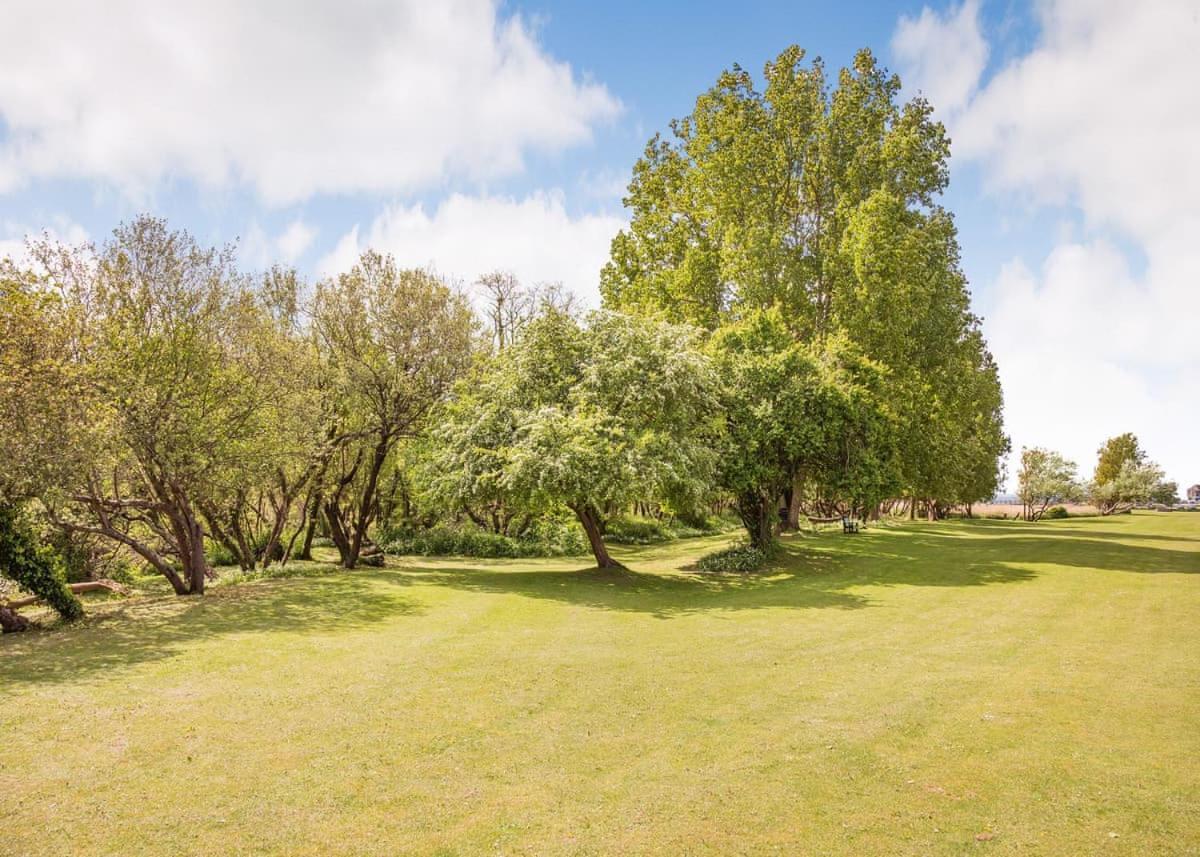 Seadown Park Ξενοδοχείο Charmouth Εξωτερικό φωτογραφία